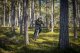 Korbi Pedały MAGPED SPORT2 GREY 100NM (Gravel, Trekking, MTB), Magnetyczne z blokami, Siła magnesu 100Nm dla rowerzystów 12