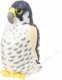 Fremeaux Wild Republic Birds with Sound Peregrine Falcon 3