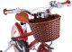 Royalbaby RoyalBaby Rower 16" MACARON retro vintage dziecięcy Boczne koła 16B-6,3 2