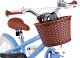 Royalbaby RoyalBaby Rower 16" MACARON retro vintage dziecięcy Boczne koła 16B-6,3 1
