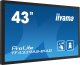 Monitor iiyama ProLite TF4339AS-B1AG 2