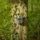 Kamera cyfrowa Arlo Camouflage trail camera EZ2 Ultra 3