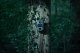 Kamera cyfrowa Arlo Camouflage trail camera EZ2 Ultra 8