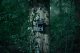 Kamera cyfrowa Genway Camouflage trail camera EZ-Solar 9