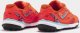 Joma Joma Liga-5 2408 TF LIGW2408TF Pomarańczowe 40 3
