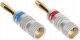 Vitalco PARA WTYKÓW BANANOWYCH BAN-PLUG-HQ CZERWONY + NIEBIESKI VITALCO 3
