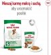 Royal Canin Adult Mini S 4 kg 3