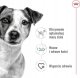 Royal Canin Adult Mini S 4 kg 7
