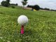 Vinex Tee - podstawka pod piłeczki golfowe PGT niebieski 35 mm 5
