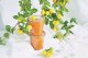 Jata WECK Mold Jar 580ml Set of 6 2