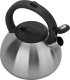 Ambition Czajnik tradycyjny 2,6 L Acero Silver 2