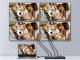 Equip Equip HDMI Splitter 2.0 4 Port Ultra Slim 4K/60Hz schwarz 1