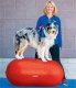 FitPAWS FitPAWS Platforma równoważna Trax Peanut, 50 cm, czerwona 1