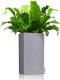 Lechuza LECHUZA Donica CANTO Stone 30 LED High ALL-IN-ONE, 30x30 cm, szara 4