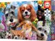 Ravensburger Puzzle 200 Zwierzęta domowe G3 4