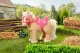 Baby Born BABY BORN Plush My Cute Horse 6