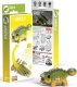Fat Brain Toys Dinozaur Ankylo Eugy. Eko Układanka 3D 6