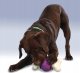 PetSafe Petsafe Busy Buddy Bouncy Bone L žaislinis kaulas skanėstams dideliems šunims nuo 22,7kg svorio 2