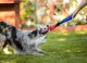 Pet Supplies PET SUPPLIES ZABAWKA DLA PSA SZARPAK Z    WĘŻA STRAŻACKIEGO 4