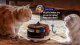 Kamera IP Enabot Family Robot IP Camera | ROLA PetPal | 5 MP | Micro SD, Max. 256GB 2