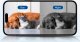 Kamera IP Enabot Family Robot IP Camera | ROLA PetPal | 5 MP | Micro SD, Max. 256GB 4