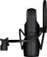 Aston Microphones Element Bundle Mikrofon pojemnościowy + uchwyt + pop filtr 3