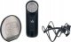 Aston Microphones Element Bundle Mikrofon pojemnościowy + uchwyt + pop filtr 8