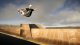 Skater XL (NSW) 1