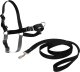 PetSafe Petsafe Easy Walk® Harness XL juodos petnešos lengvam pasivaikščiojimui (apimtis 86-117cm) 1