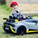 Import SUPER-TOYS ORYGINALNE DRIFTUJĄCE LAMBORGHINI HURACAN STO NA AKUMULATOR/SMT-555-24V 18
