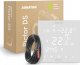 Auraton AURATON PICTOR DS TEMP. CONTROLLER 2SENS 2