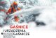 Ogniochron OGPN-3XABF - Gaśnica pianowa gaszenie pożarów grupy ABF czas dziłania 12 sek zakres temperatur stosowania +5C +60C polecana w gastronomii kuchnia domowa gdzie są gorące tłuszcze i oleje - 3 kg 1
