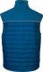 Portwest DX470 - Kamizelka przeciwdeszczowa Baffle DX4 odwzorowująca ciało człowieka - czarny 2XL 2