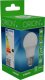 Orion ŻARÓWKA LED 5W E27 470LM 1