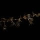 Lampki choinkowe Fééric Lights and Christmas Girlanda świetlna wewnętrzna 25 LED 1