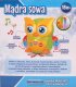 Mądra Sowa E-Edu Dla Dzieci Śpiewa Opowiada Bajki 2