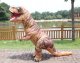 ZOLTA Przebranie dmuchany dinozaur T-rex 2,5m Wentylator 2