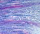 Mikroskop Mikroskop Delta Optical Genetic Bino 4