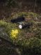 Latarka Armytek PRIME C2 PRO MAX White 6
