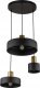 Lampa wisząca TKKRYWULT TK Lighting Alvaro 5729 lampa wisząca zwis 3x15W E27 czarna/złota 3