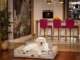 Hobbydog XL GLAMOUR CAPPUCCINO INARI 2