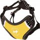 All For Dogs ALL FOR CATS SZELKI SPORTOWE XS ŻÓŁTE 4