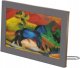 Ramka cyfrowa NETGEAR MEURAL WIFI PHOTO FRAME 39 CM 6