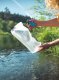 HydraPak Bukłak na wodę HydraPak Seeker+ 3L - clear Uniwersalny 7