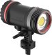 Sealife Sealife Sea Dragon 5000+ with Color Boost Light Head (SL680-1) 2