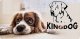 AIO FACTORY Legowisko dla psa kojec KINGDOG 145x115cm 3XL 6