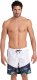 Arena Spodenki szorty kąpielowe Arena Men's Fun Planet Bermuda Panel R.M 1