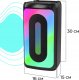 Głośnik Defender Głośnik Defender CONCERTO Bluetooth 20W MP3/FM/SD/USB/AUX/TWS/LED/MIC KARAOKE czarny + mikrofon 9