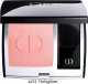 Dior DIOR LONG-WEAR POWDER BLUSH HOLOGAM 6,7G 4