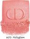 Dior DIOR LONG-WEAR POWDER BLUSH HOLOGAM 6,7G 5